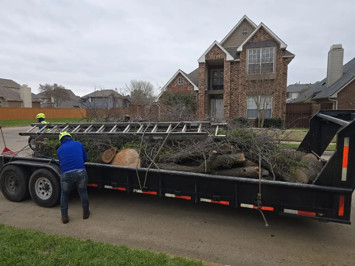 Expert Tree Pest Control with proper safety equipment in East Greenville